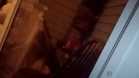 savy5150 online show from 04/13/26, 05:02