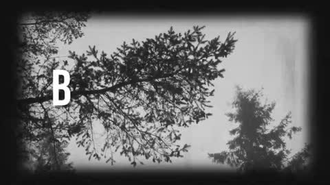 Snapshot of say_mary chatting on 03/19/26, 11:31 pronoun she. name Mary. age 21. online show from 03/19/26, 11:31