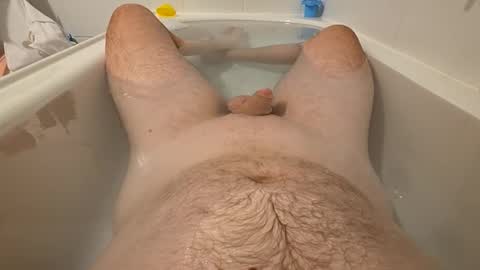 sc1981 online show from 03/21/26, 10:31