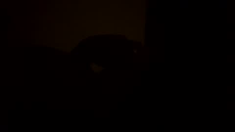 Snapshot of sc377003 chatting on 03/11/25, 02:54 sc377003 online show from 03/11/25, 02:54