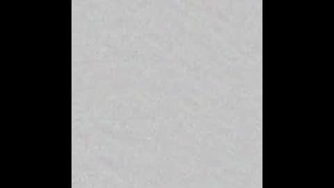 Venus online show from 10/19/25, 04:07