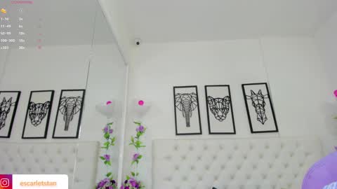 Snapshot of scarlet_stan22 chatting on 12/16/24, 11:12 Isa online show from 12/16/24, 11:12