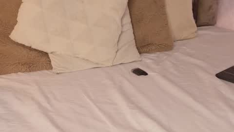 Scarleth  online show from 10/16/25, 06:14