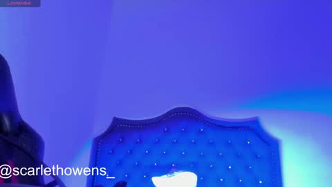    online show from 12/29/24, 09:50