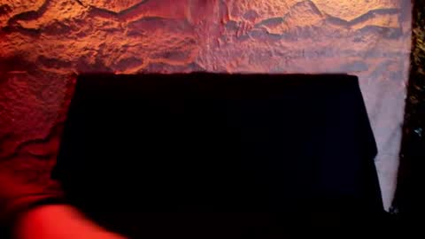 SCARLETT FOX  online show from 09/23/25, 11:13