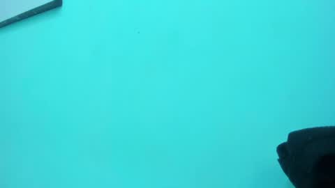 Snapshot of scarlett_fox20 chatting on 05/13/26, 01:30 scarlett_fox20 online show from 05/13/26, 01:30