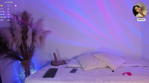 Snapshot of scarlett_keitt chatting on 02/10/26, 11:03 scarlet online show from 02/10/26, 11:03