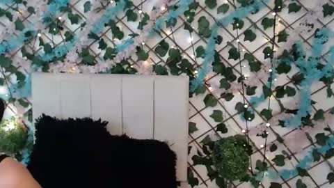 SCARLET online show from 01/17/26, 10:42