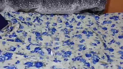 Snapshot of scorviaamanda254 chatting on 01/27/25, 07:03 Its Lilly online show from 01/27/25, 07:03