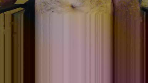 Snapshot of scott1usa chatting on 03/06/26, 09:00 scott1usa online show from 03/06/26, 09:00