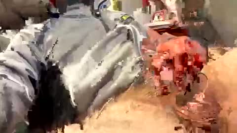 Snapshot of scottj603603 chatting on 02/18/26, 06:59 scottj603603 online show from 02/18/26, 06:59