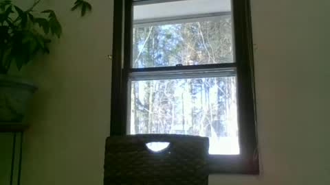 Snapshot of scottpbi52 chatting on 01/22/25, 02:14 scottpbi52 online show from 01/22/25, 02:14
