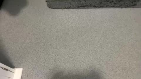 scottyc48 online show from 10/05/25, 02:04