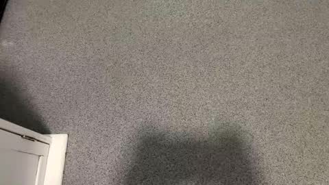 Snapshot of scottyc48 chatting on 11/12/25, 02:39 scottyc48 online show from 11/12/25, 02:39