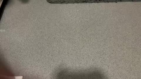 Snapshot of scottyc48 chatting on 12/01/25, 02:11 scottyc48 online show from 12/01/25, 02:11