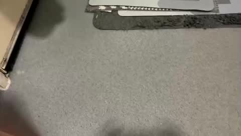 Snapshot of scottyc48 chatting on 12/19/25, 07:48 scottyc48 online show from 12/19/25, 07:48