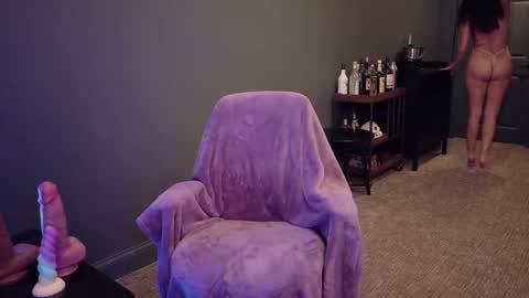 Scout has fun online show from 02/11/25, 02:14