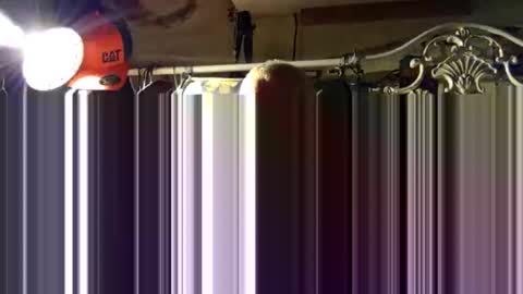 Snapshot of scoutiii chatting on 10/15/25, 11:43 scoutiii online show from 10/15/25, 11:43