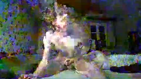 Snapshot of scratt67 chatting on 11/22/25, 03:38 scratt67 online show from 11/22/25, 03:38