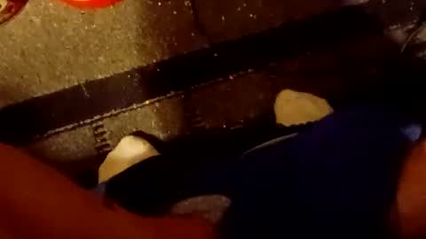 scruples99273286 online show from 10/05/25, 08:34