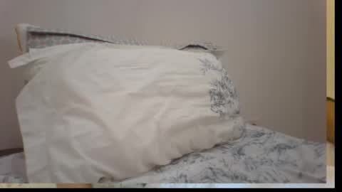 Snapshot of se319747 chatting on 11/19/25, 07:58 se319747 online show from 11/19/25, 07:58