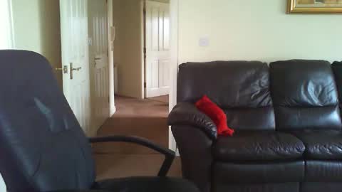 Snapshot of seakrait chatting on 03/27/26, 08:26 seakrait online show from 03/27/26, 08:26