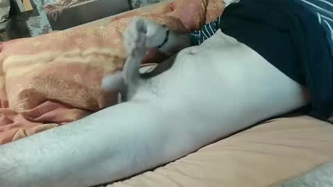 seb online show from 02/05/25, 08:14