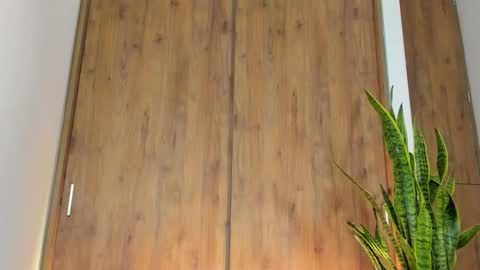 sebastian online show from 02/03/26, 01:26