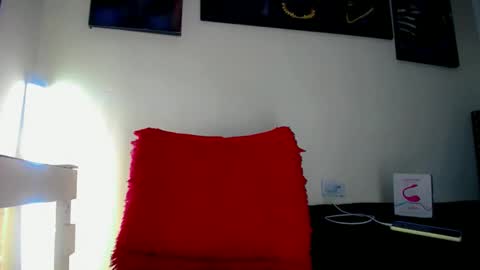 Snapshot of sebastian_loaiza chatting on 11/11/25, 03:12 Sebastian online show from 11/11/25, 03:12