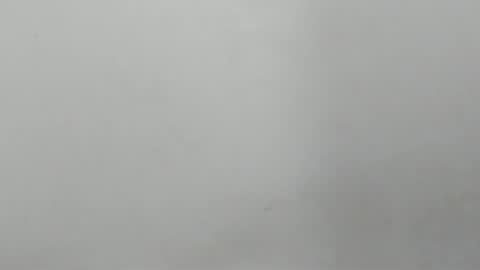 sebatian palacios online show from 12/02/24, 03:26