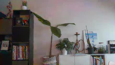 sebix9206 online show from 02/13/25, 08:27