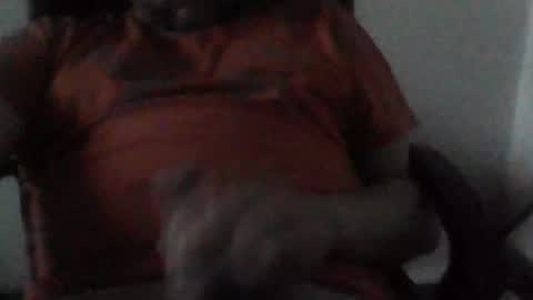 Snapshot of sebo123456 chatting on 12/25/24, 03:06 sebo123456 online show from 12/25/24, 03:06