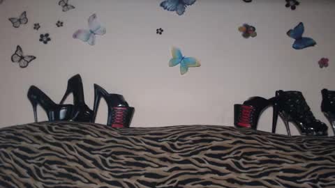 Emily online show from 02/20/25, 08:58