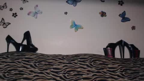 Emily online show from 09/25/25, 08:01