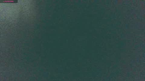 Sunny online show from 12/14/24, 08:56