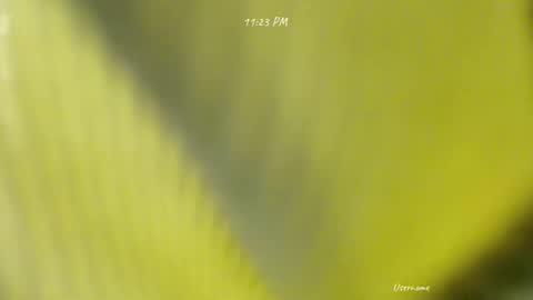 Snapshot of seduce_me_oldman chatting on 03/09/26, 03:16 seduce_me_oldman online show from 03/09/26, 03:16