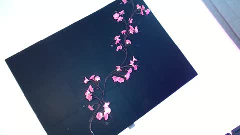 cath online show from 11/28/25, 05:43