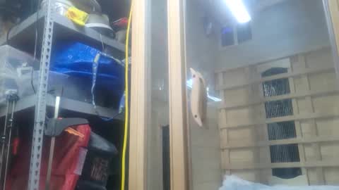 Seeker online show from 10/26/25, 11:09