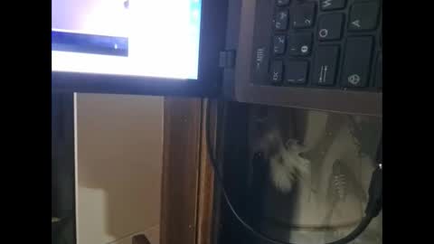 Snapshot of segaiolo21cm chatting on 04/13/26, 09:31 segaiolo21cm online show from 04/13/26, 09:31