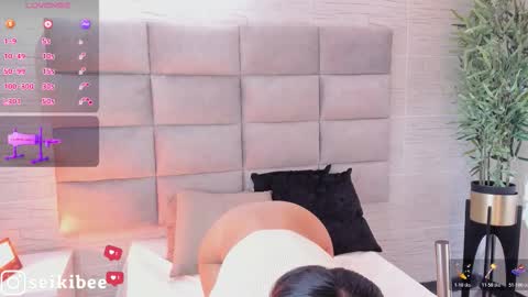 Snapshot of seikibee chatting on 02/21/26, 04:24 seikibee online show from 02/21/26, 04:24