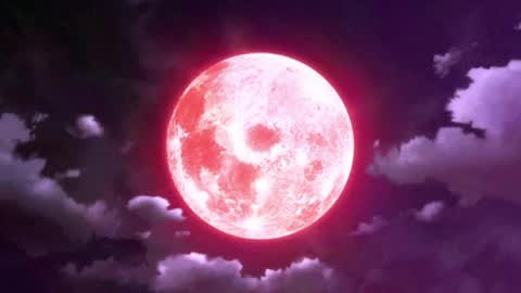 Snapshot of seleneg chatting on 04/08/26, 03:17 Selene G online show from 04/08/26, 03:17