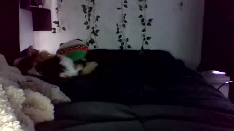 Snapshot of selfcaregirl chatting on 04/22/26, 09:16 Lauren online show from 04/22/26, 09:16