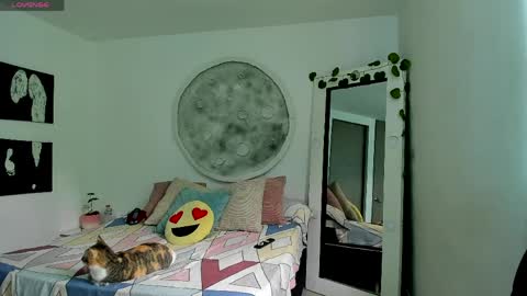 Snapshot of selyn_ chatting on 04/06/26, 02:51 Selyn online show from 04/06/26, 02:51