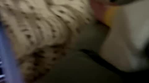 Snapshot of senecathestoic25 chatting on 02/09/26, 03:54 senecathestoic25 online show from 02/09/26, 03:54