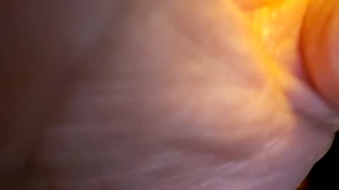 Snapshot of senor49509 chatting on 11/27/25, 02:02 senor49509 online show from 11/27/25, 02:02