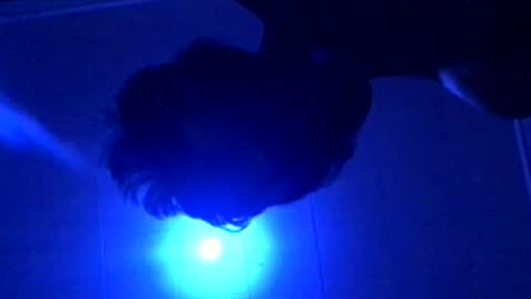 senseisalami online show from 11/27/25, 09:22