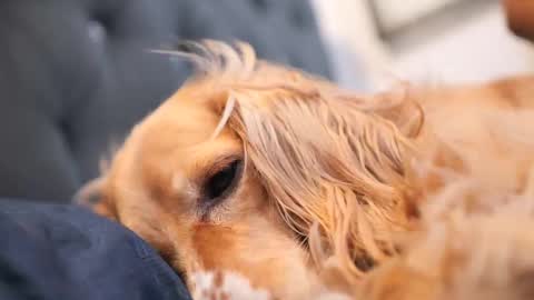 senssual_goddess online show from 10/07/25, 04:37