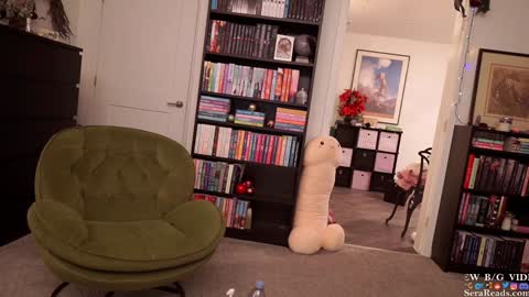 Snapshot of serareads chatting on 01/06/25, 07:42 SeraReads online show from 01/06/25, 07:42