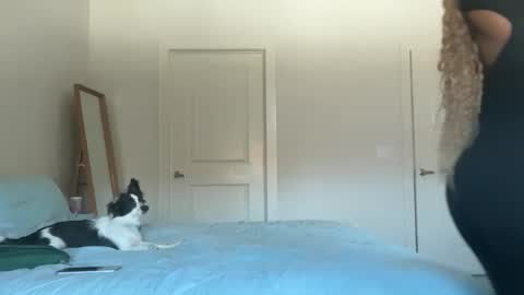 Snapshot of serenitybee chatting on 11/17/25, 05:52 Serenity Bee online show from 11/17/25, 05:52