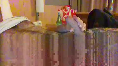 Snapshot of serialfucka69 chatting on 10/27/25, 06:56 serialfucka69 online show from 10/27/25, 06:56